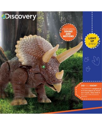 Toy RC Triceratops - Dinosaur Toy
