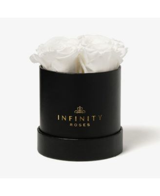Infinity Roses