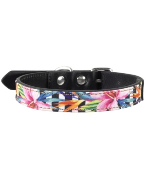 Margaritaville Tropics Dog Collar, Xsmall In Brown Overflow