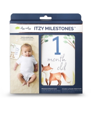 Itzy Ritzy Milestone Cards Set