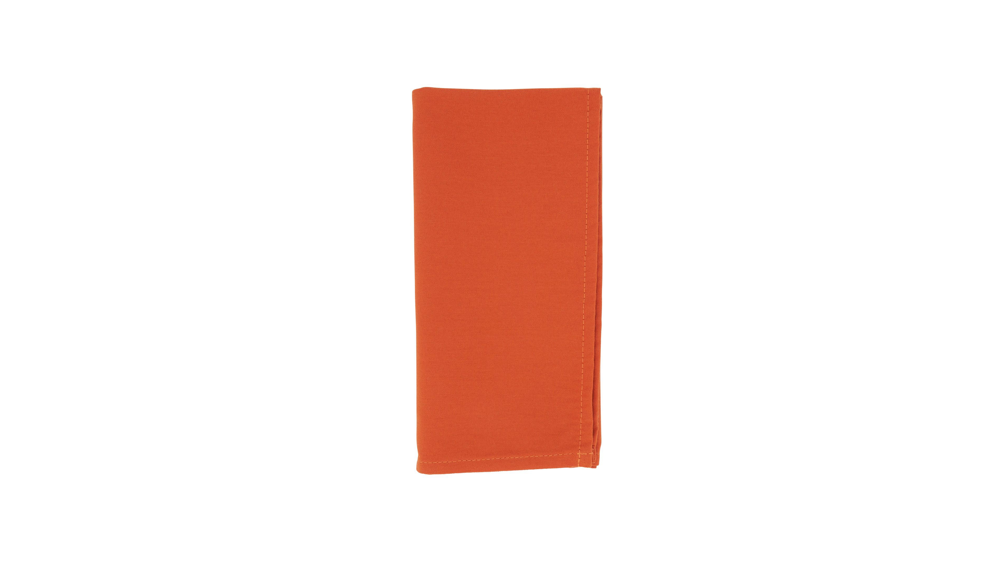 Saro Lifestyle Everyday Design Cloth Table Napkins, Set of 12, 20" x