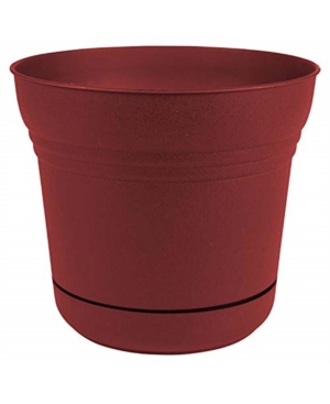 Bloem Saturn Planter with 14