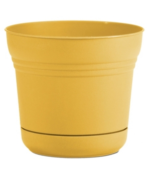 Bloem Saturn Planter with 14