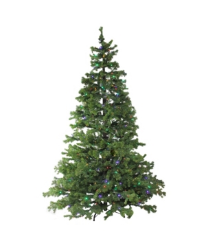 Northlight 75' Layered Pine Instant Power Technology Single Plug Christmas Tree - Multi Led Lights