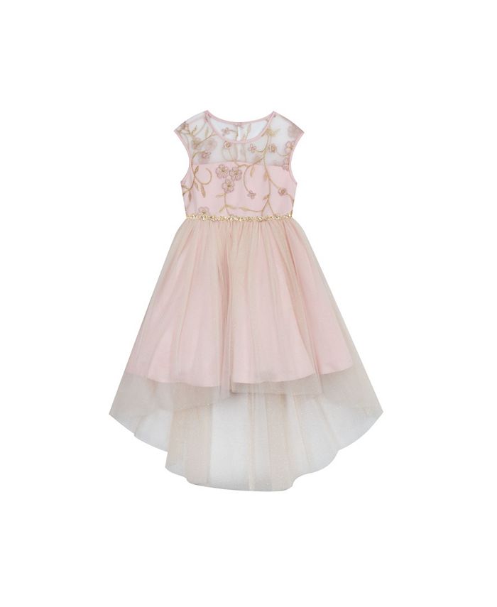 Rare Editions Toddler Girls Embroidered Hi Low Dress with Mesh Skirt ...