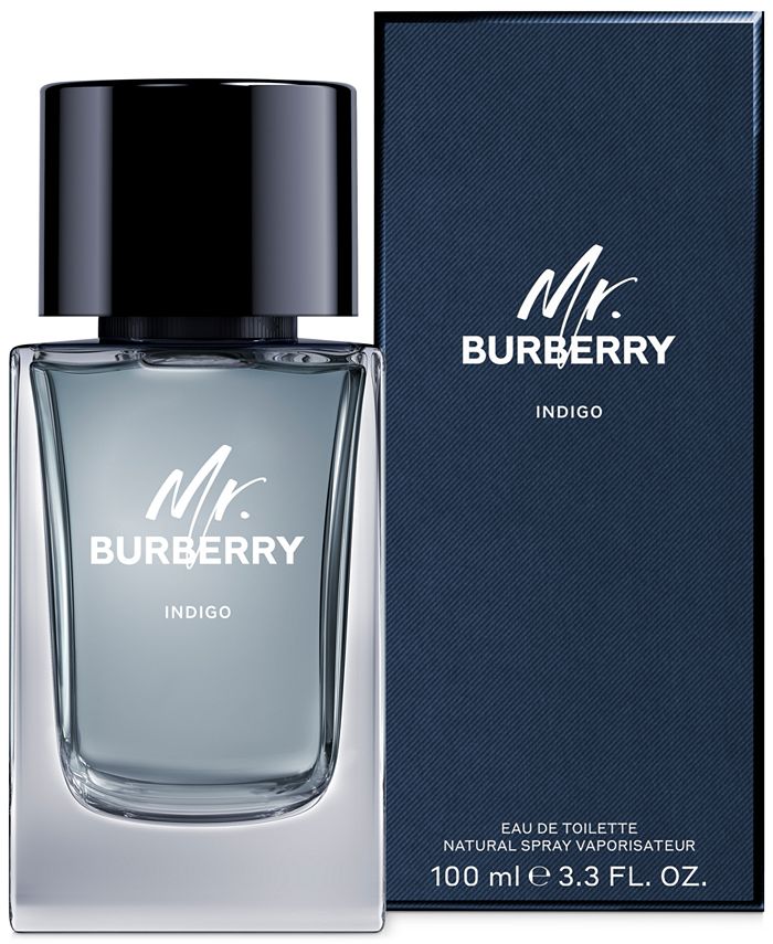 Mr burberry indigo song online