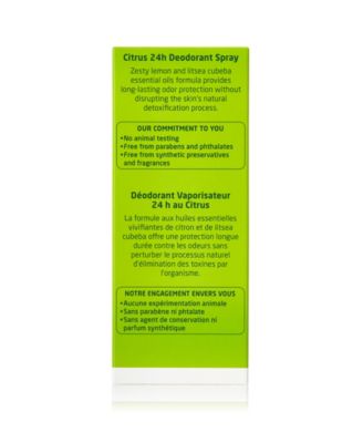 Citrus 24 Hours Deodorant Spray, 3.4 oz