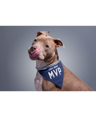 Brass Monkey - The Real MVP Dog Bandana