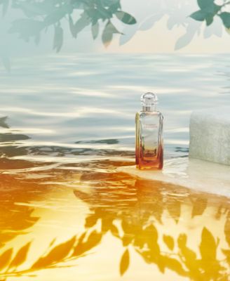 Amazon.com : Un Jardin Sur La Lagune by Hermes for Women 1.6
