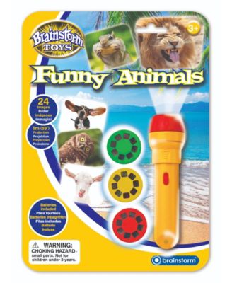 Animal Brainstorm Toys Torch Projector Fun Engaging Science teach learning Disco 