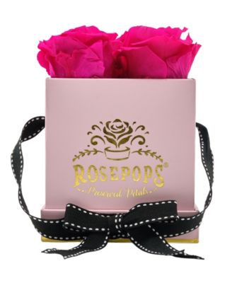 Rosepops