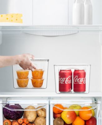 2 Pack Small Clear Storage Bins with Handles and Lids