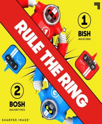 Robo Rage Remote Control Two-Player Robot Fighting Set