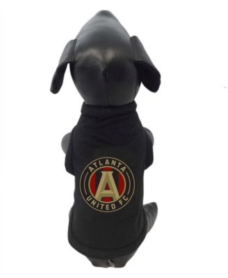 All Star Dogs