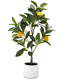 Hello Sunshine Lemon & Floral 24" Artificial Tabletop Tree, Created for Macy's 