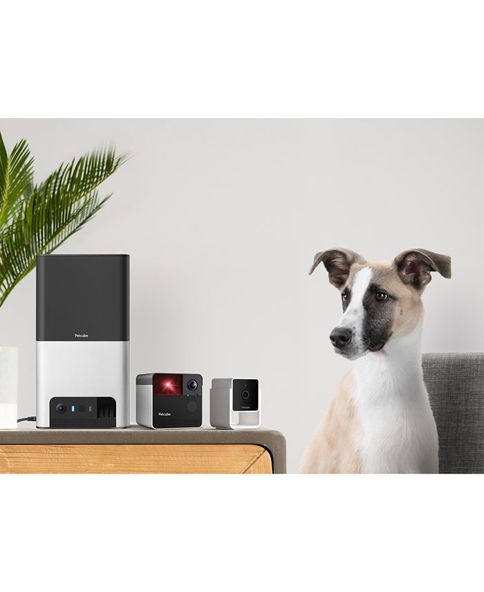 Petcube Smart HD Pet Camera Macy's