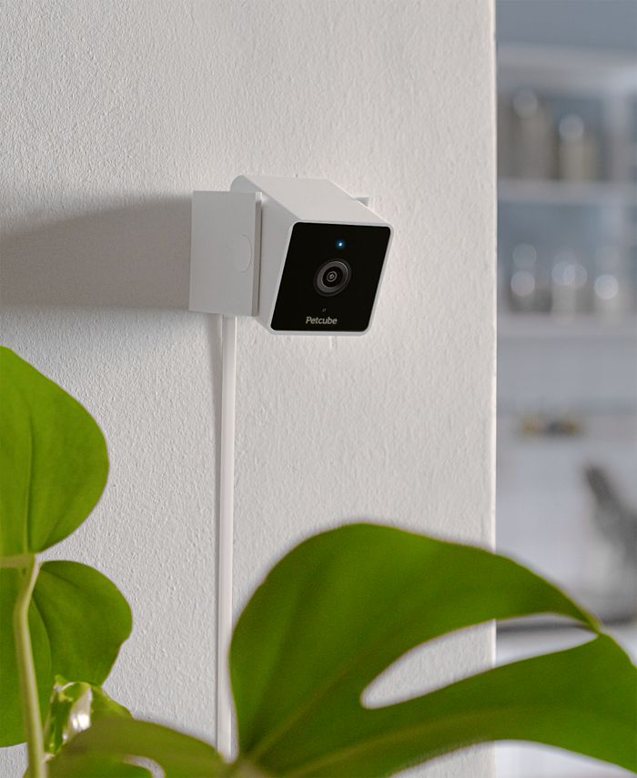 Petcube Smart HD Pet Camera Macy's