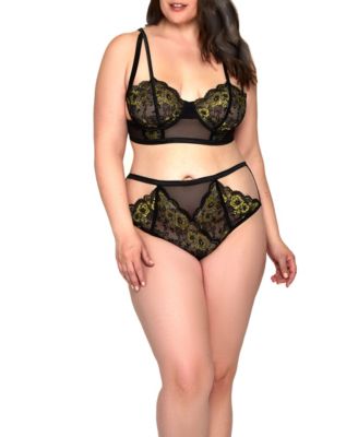 iCollection