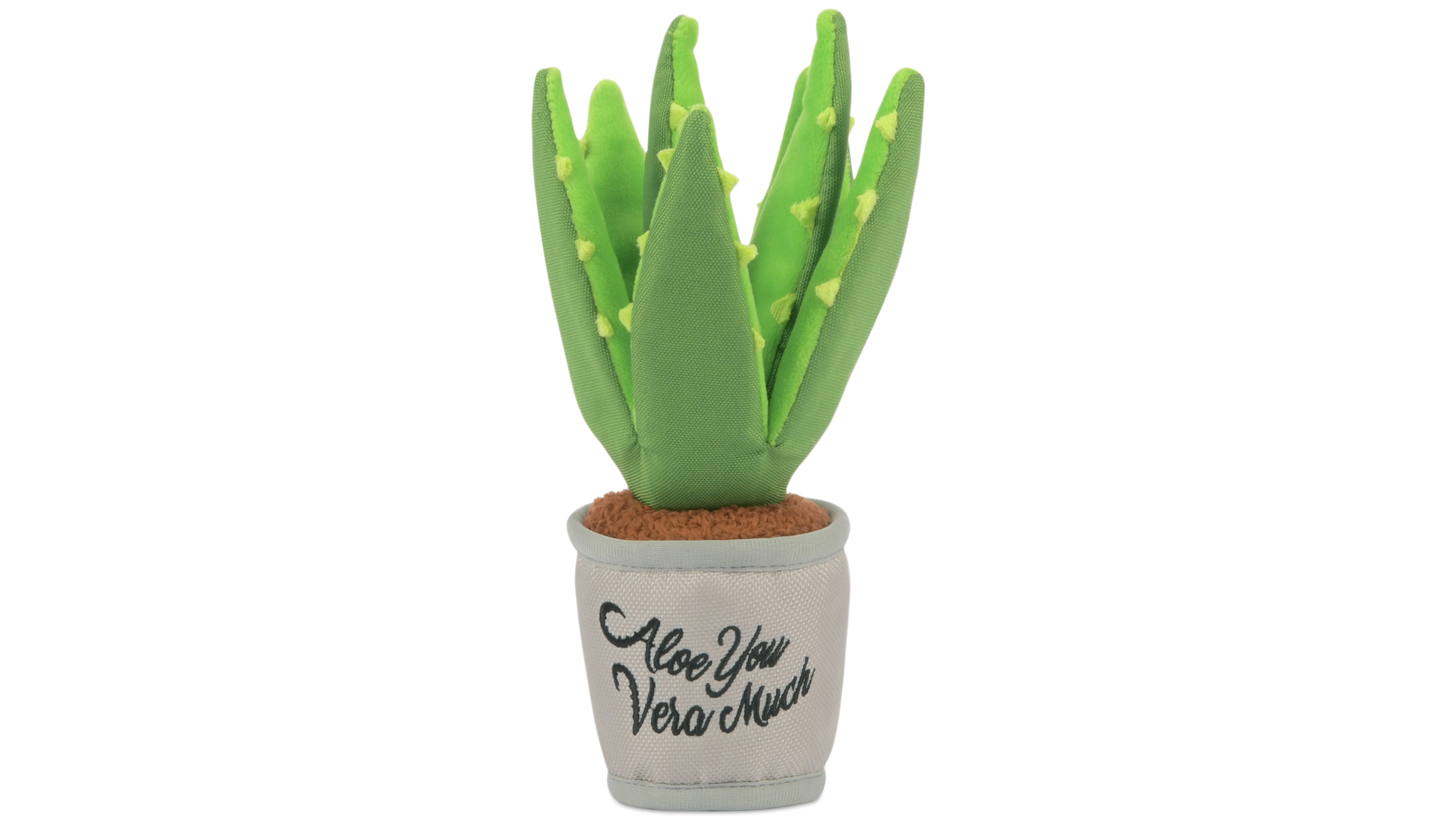 Blooming Buddies Collection: Aloe-ve You Plant