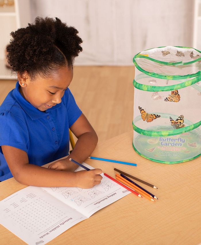 Insect Lore STEM Educational Butterfly Life Cycle Growing Kit Macy's