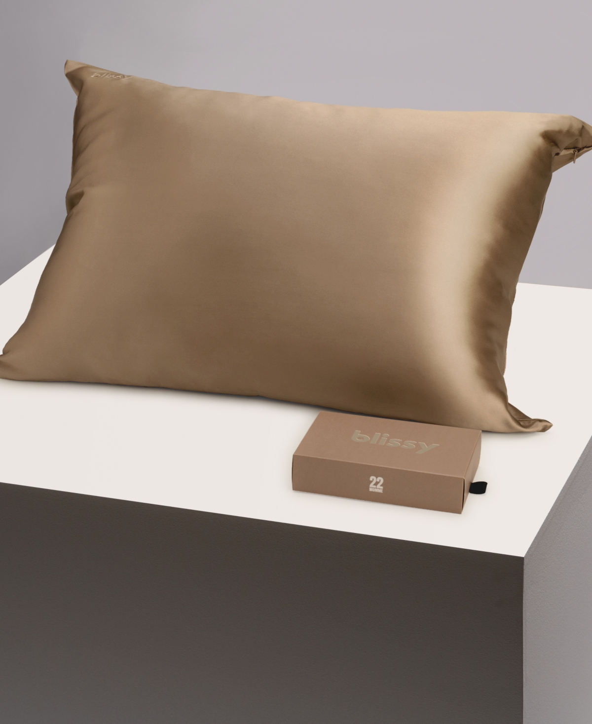 Blissy 22-momme Silk Pillowcase, Standard In Taupe