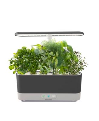 AeroGarden Harvest Slim Hydroponic Indoor Garden - Macy's
