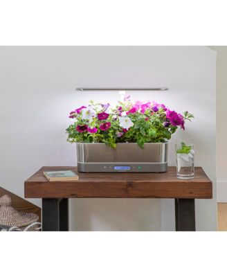Macy's Aerogarden Harvest Elite Slim with Gourmet Herb Seed Pod Kit