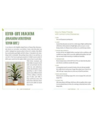 How to Houseplant - A Beginner's Guide to Making and Keeping Plant Friends by Heather Rodino