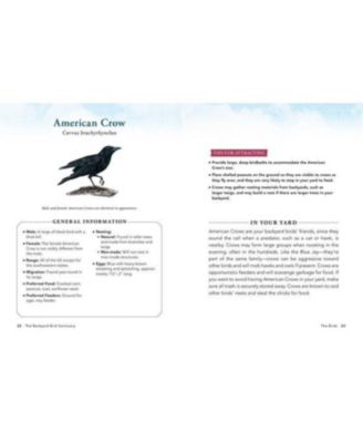 The Backyard Bird Sanctuary- A Beginner's Guide to Creating A Wild Bird Habitat At Home by Alan Baczkiewicz