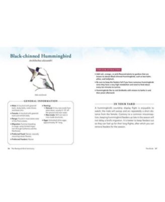 The Backyard Bird Sanctuary- A Beginner's Guide to Creating A Wild Bird Habitat At Home by Alan Baczkiewicz