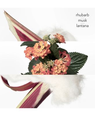 Eau de Rhubarbe &Eacute;carlate Eau de Cologne Natural Spray, 3.3 oz.