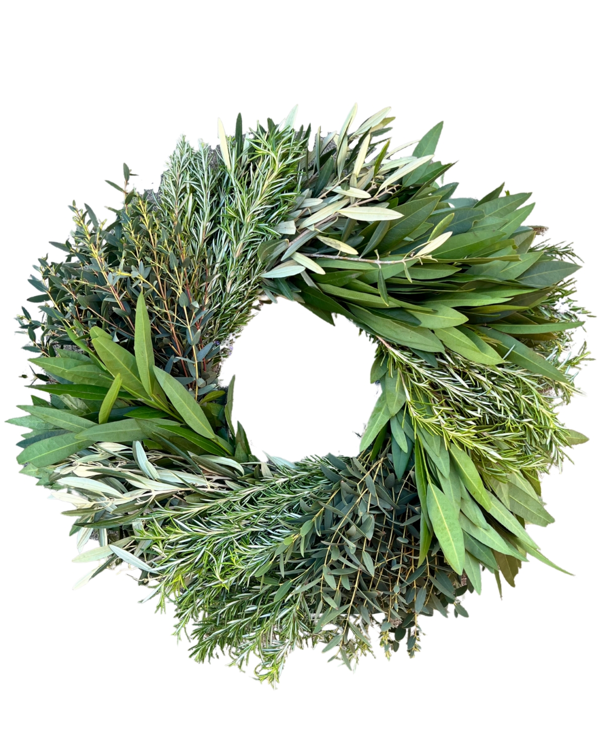 Eucalyptus, Rosemary, Bayleaf and Olive Fresh Spring Wreath, 20"