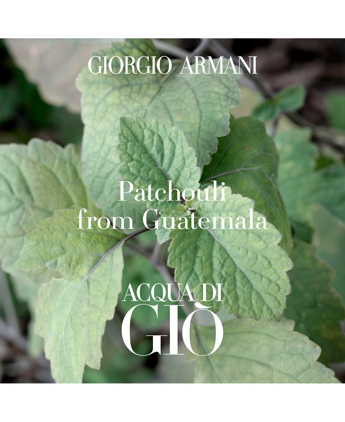 Shop Giorgio Armani Armani Beauty Acqua Di Gio Profondo Eau De Parfum Spray, 2.5-oz. In No Color