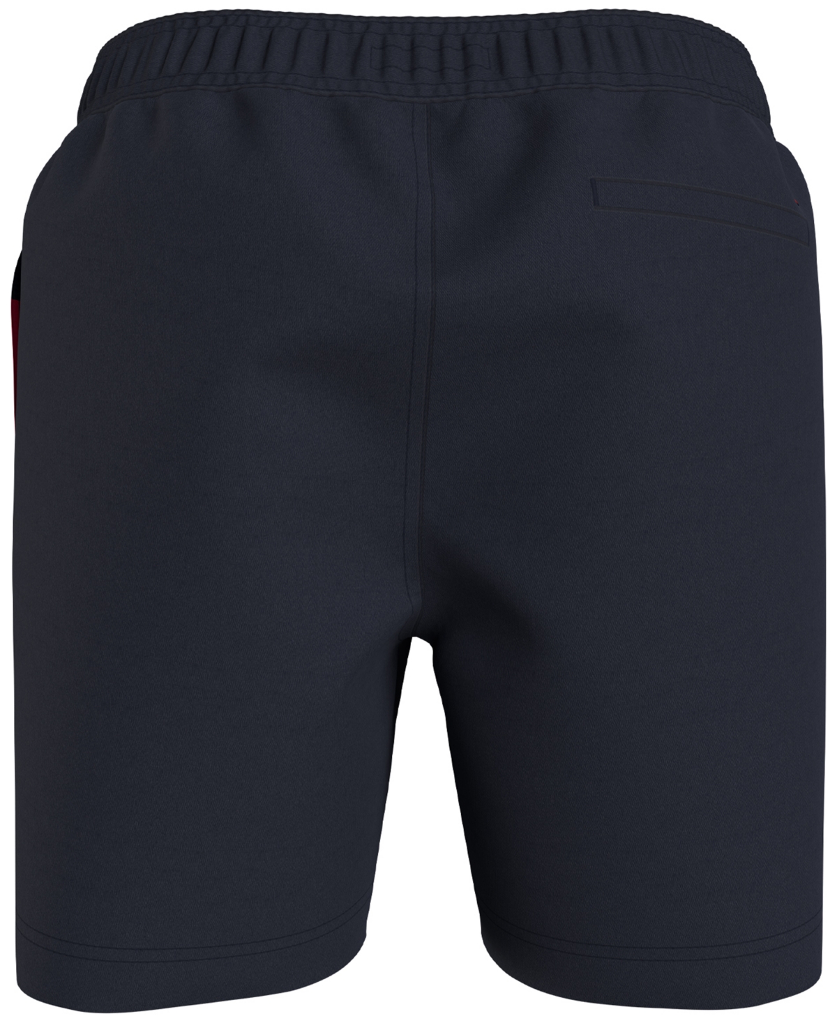 Tommy Hilfiger Men's Big & Tall Signature Flag Swim Trunk