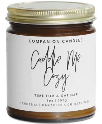 Companion Candles - x