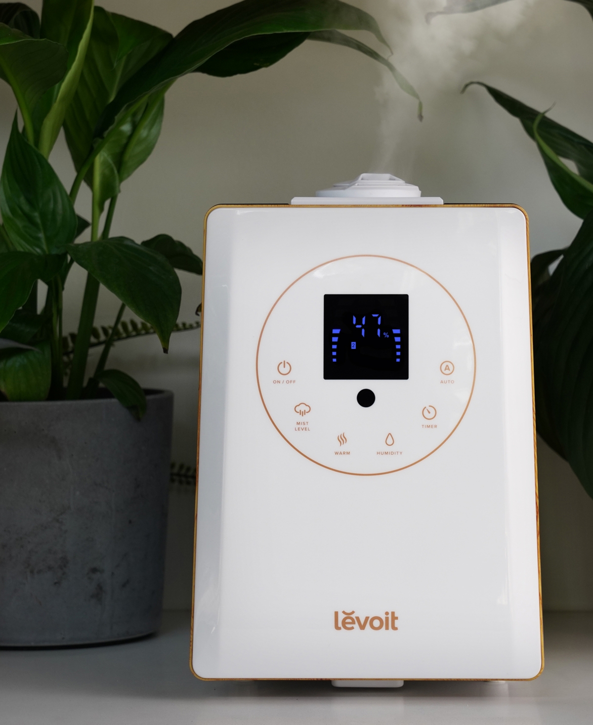 Shop Levoit Lv600hh Hybrid Ultrasonic Humidifier In White,wood