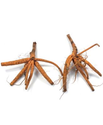 National Plant Network