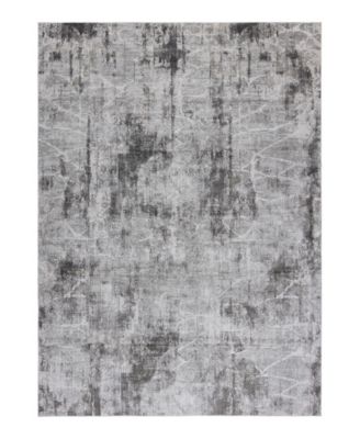 Alloy All342 4' x 6' Area Rug