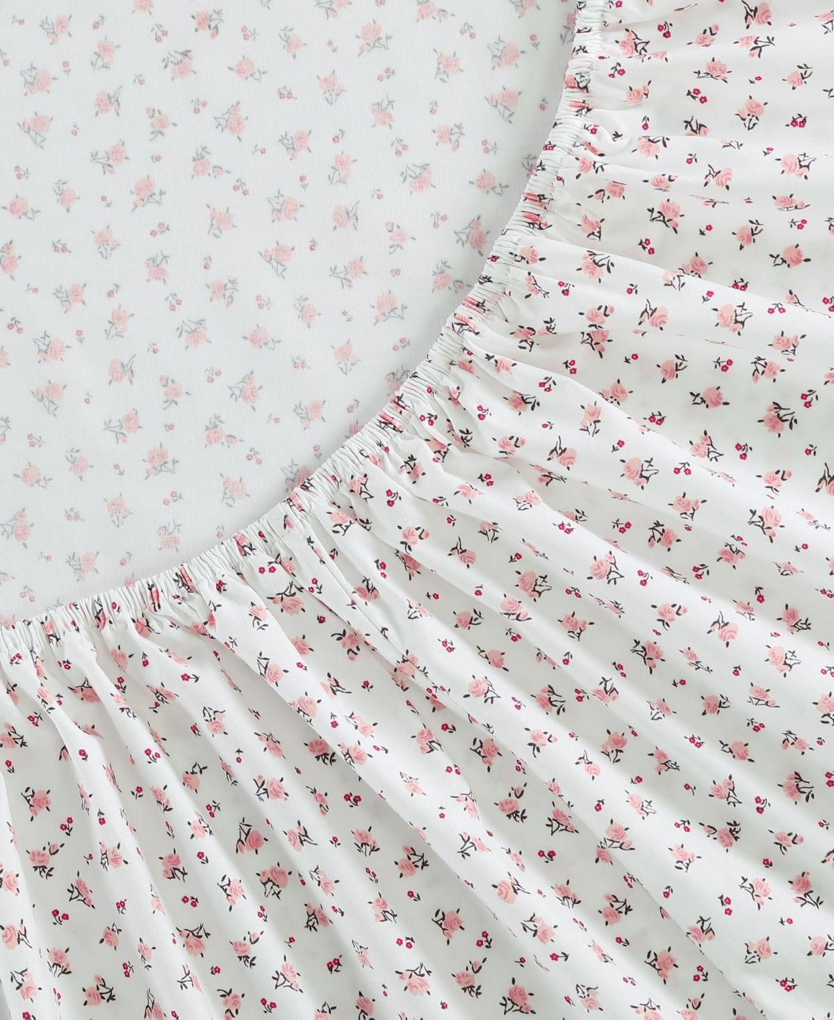 Betsey Johnson Printed Cotton Percale -Pc. Sheet Set