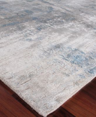 Shop Exquisite Rugs Reflections Er3915 Area Rug In Ivory,gray