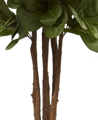 6' Fiddle Leaf Fig Tree
