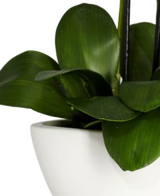 Phalaenopsis Flower Arrangement