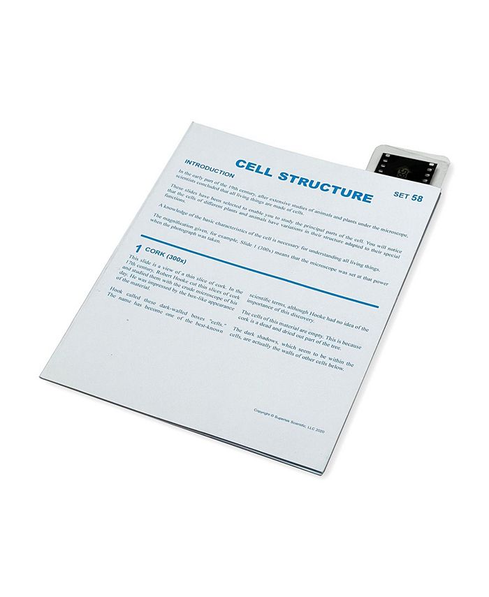 Supertek Microslide, Cell Structure Macy's