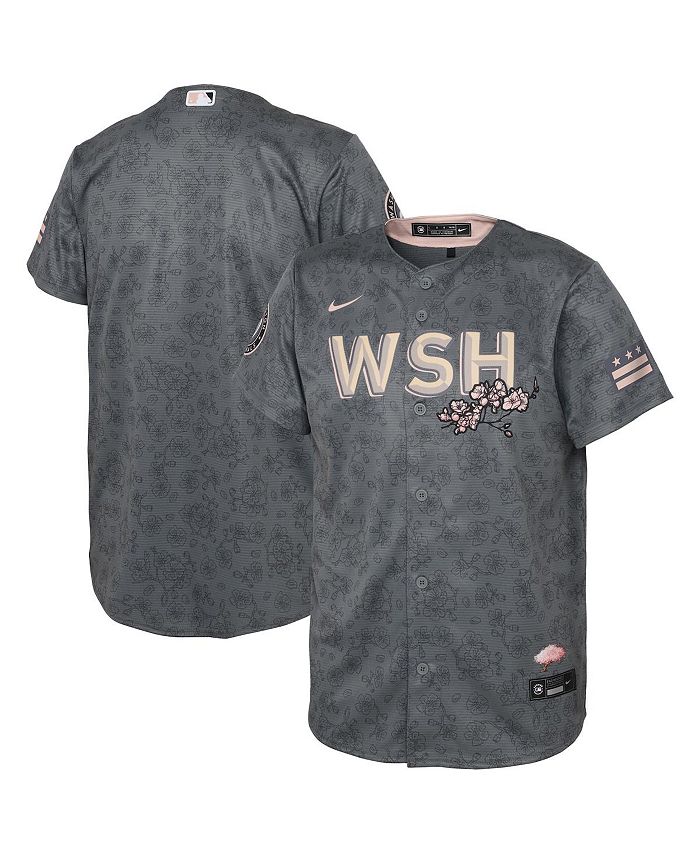 Men's Washington Nationals Nike Gray 2022 City Connect Replica Jersey