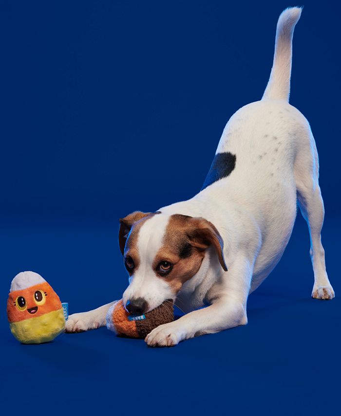 BarkBox 2Pk. Children of the Candy Corn Plush Dog Toys Macy's