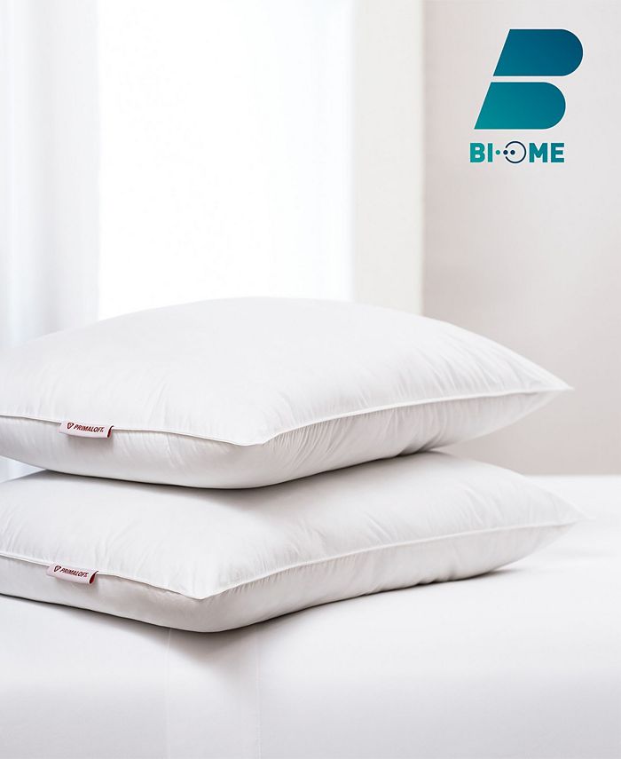 Allied Home BIOme Primaloft Fill Cotton Pillow, Jumbo Macy's