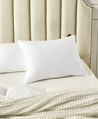 Softy-Around White Feather & Down Cotton 2-Pack Pillow, Standard/Queen