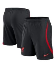 Nike LeBron James Flex Shorts, Big Boys - Macy's