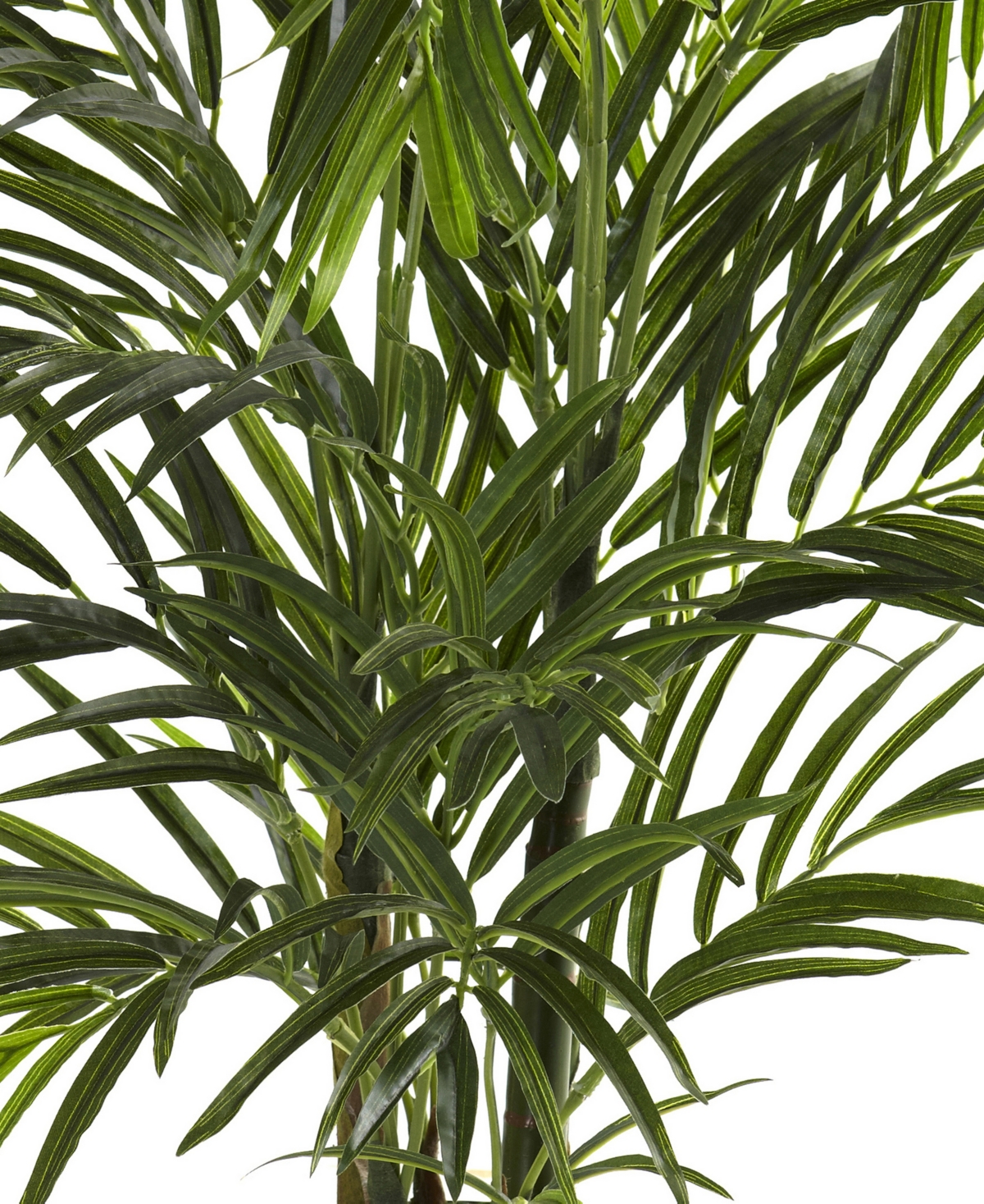 Shop Nearly Natural 2.5' Areca Palm Uv Resistant In Green