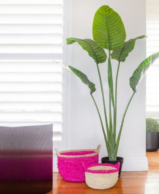 63" Travellers Palm UV-Resistant Indoor/Outdoor Tree 